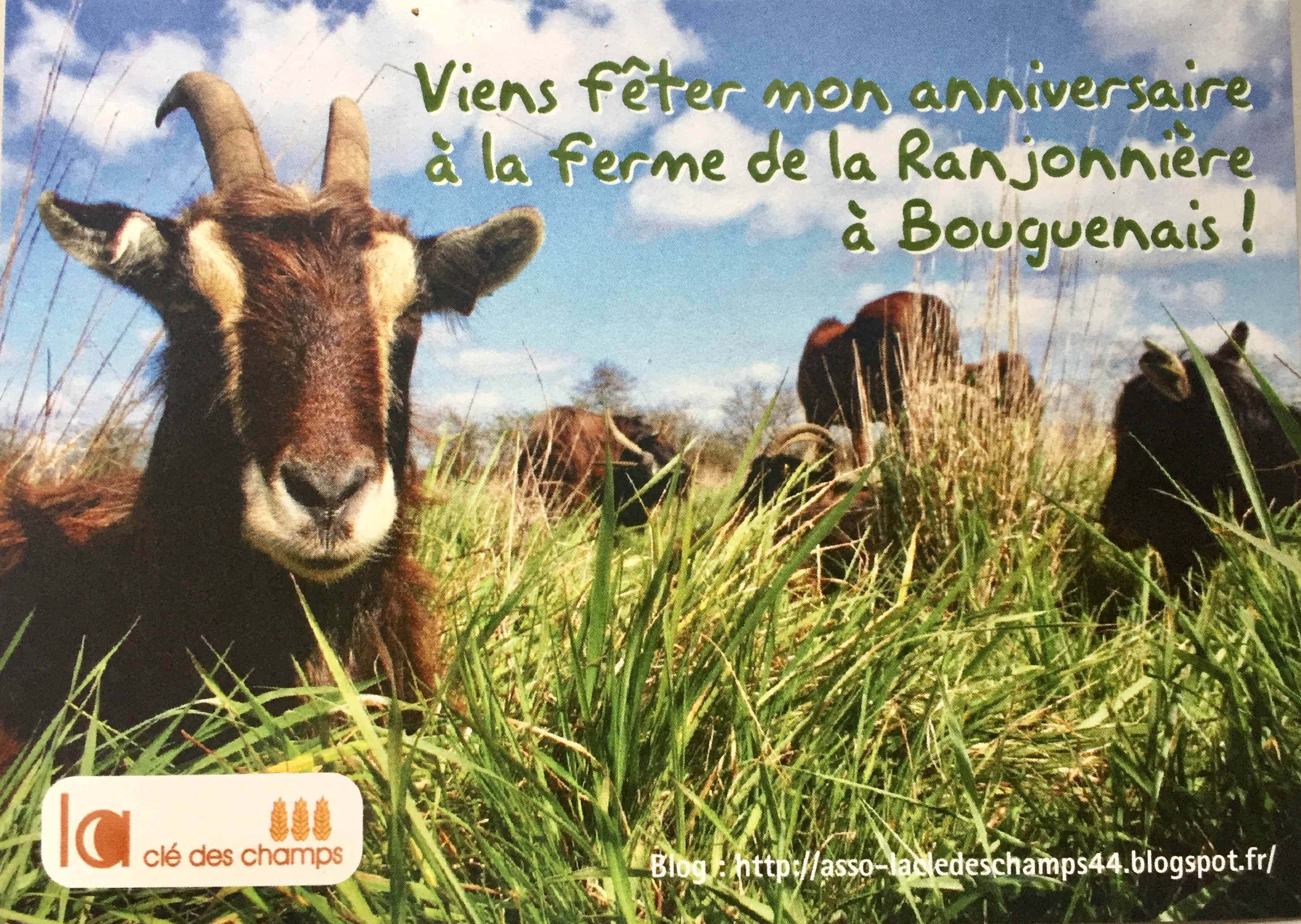 Anniversaire Enfant A La Ferme I La Cle Des Champs