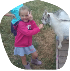 soins des animaux