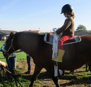 cheval mediation animale