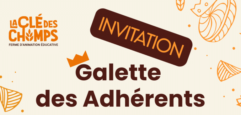 Affiche promotionnelle galette des rois