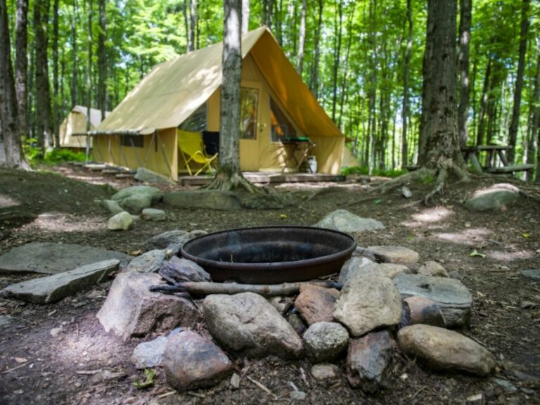 cover-r4x3w1200-5d621e810644a-4114bfc6e3631193bf5fd9c3e03a1ba9f433349e-jpg